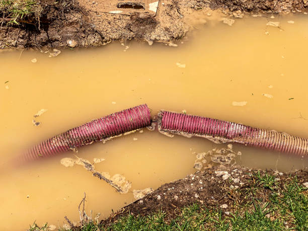 Best Commercial water damage restoration  in Oskaloosa, KS
